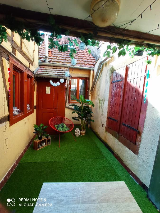 Happy Petite Venise 2 Apartment Colmar Exterior photo